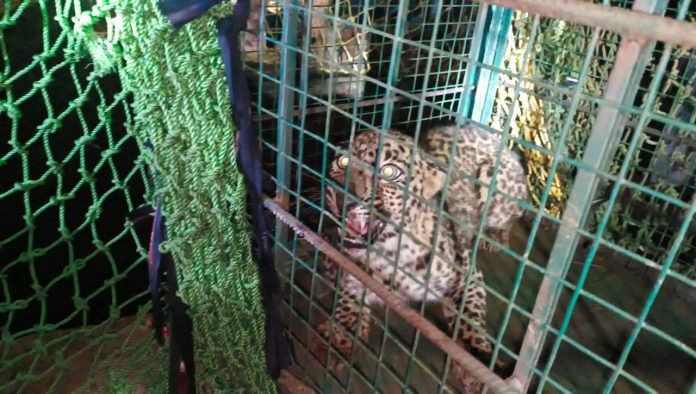 WhatsApp Image 2025-04-09 at 12.06.51_5715cfd9