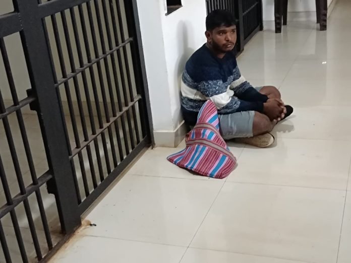 WhatsApp Image 2025-06-03 at 16.56.05_c05eb9e6