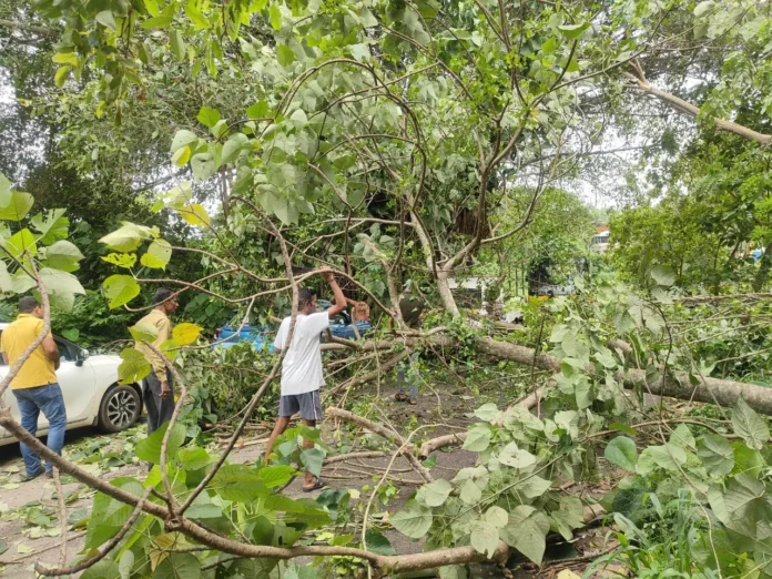 WhatsApp Image 2025-07-02 at 11.21.19_71c236e1