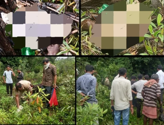 WhatsApp Image 2025-07-14 at 12.44.50_b4d68cdd