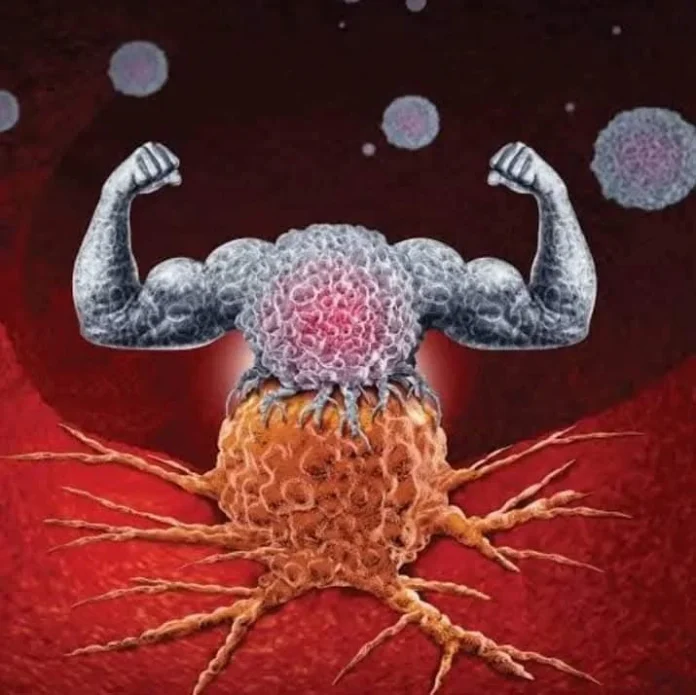 WhatsApp Image 2025-08-23 at 05.40.09_5118a2c0