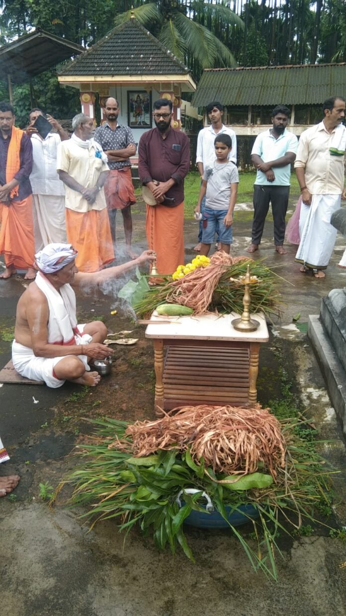 WhatsApp Image 2025-10-02 at 10.03.45_f4bf8996