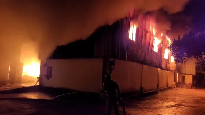 WhatsApp Image 2025-10-04 at 11.42.38_22ed1f4f (1)