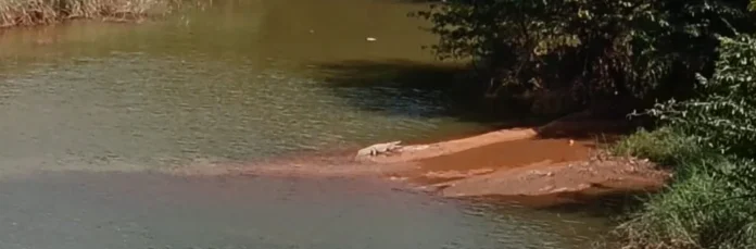 WhatsApp Image 2025-10-31 at 09.44.14_479f05b4