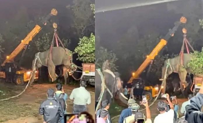 Screenshot_2025-11-03-10-42-35-56_40deb401b9ffe8e1df2f1cc5ba480b12