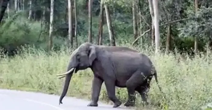 WhatsApp Image 2025-11-01 at 15.33.25_77d24abc