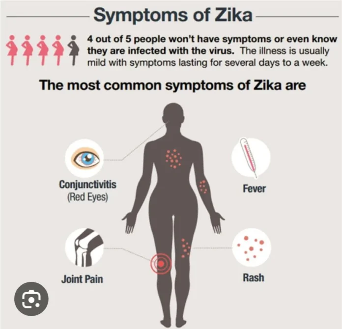 WhatsApp Image 2025-11-04 at 07.07.16_3e1e9f33