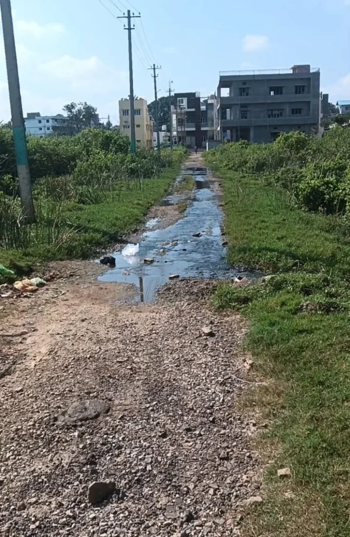 WhatsApp Image 2025-11-07 at 09.52.47_60e8f722