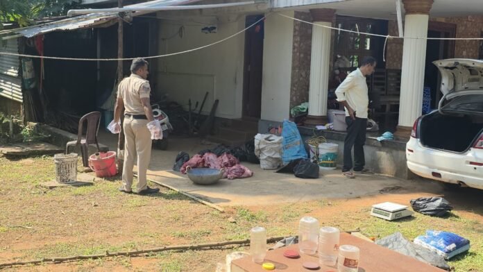 WhatsApp Image 2025-11-11 at 11.04.49_987feb54