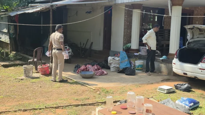 WhatsApp Image 2025-11-11 at 12.58.50_6fca2fc1