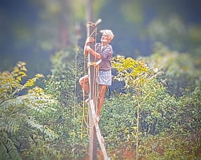 WhatsApp Image 2025-11-11 at 15.48.47_47960e66