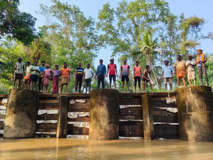 WhatsApp Image 2025-11-16 at 23.08.16_ca68c1bb