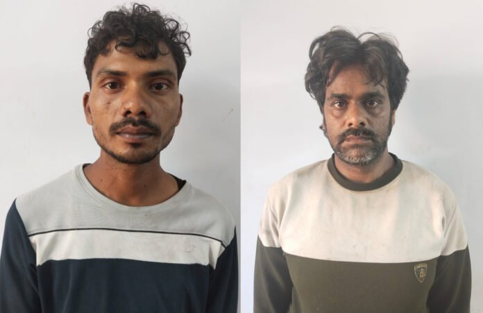 WhatsApp Image 2025-11-21 at 15.51.46_f014fc0d