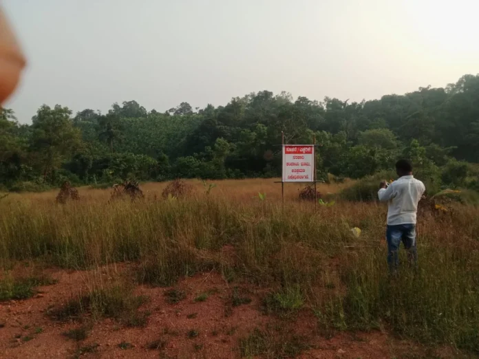 WhatsApp Image 2025-12-02 at 12.32.09_713fc6fb (1)