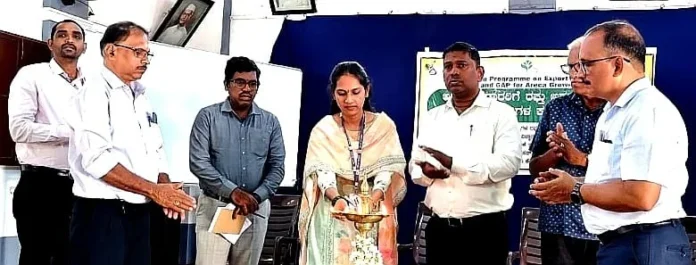 WhatsApp Image 2025-12-17 at 14.28.01_627ddd2c