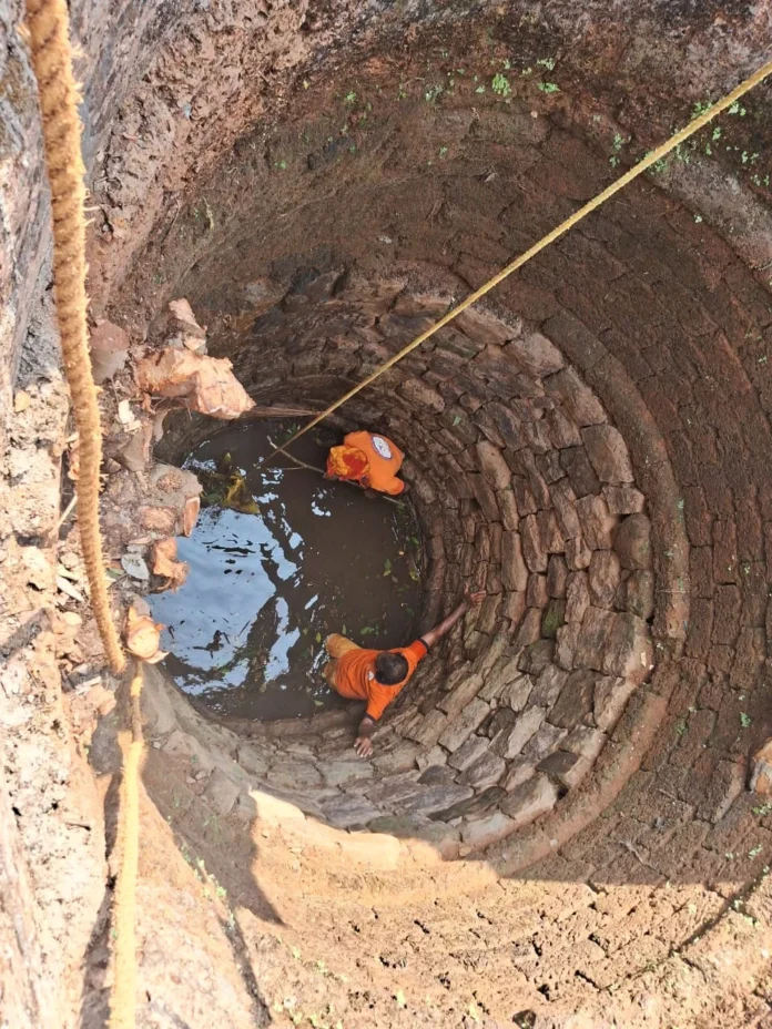 WhatsApp Image 2025-12-24 at 11.43.33 AM