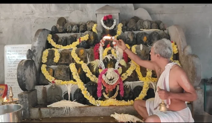 WhatsApp Image 2025-12-30 at 9.57.14 AM