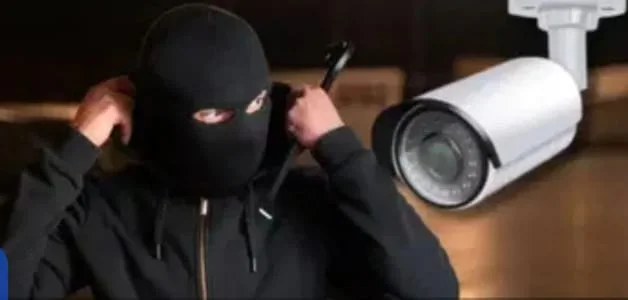 WhatsApp Image 2026-01-05 at 9.48.42 AM