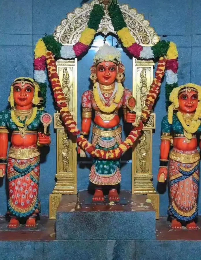 WhatsApp Image 2026-01-13 at 3.48.34 PM