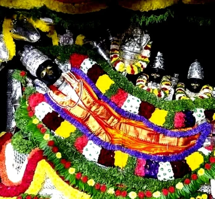 WhatsApp Image 2026-01-19 at 12.29.01 PM