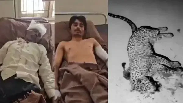 WhatsApp Image 2026-01-30 at 12.42.19 PM