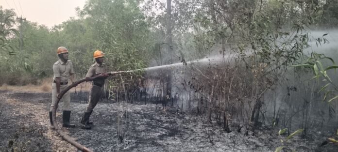 WhatsApp Image 2026-02-14 at 7.44.18 PM (1)