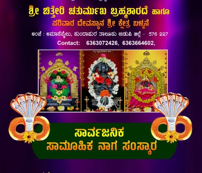 WhatsApp Image 2026-02-18 at 10.08.39 AM