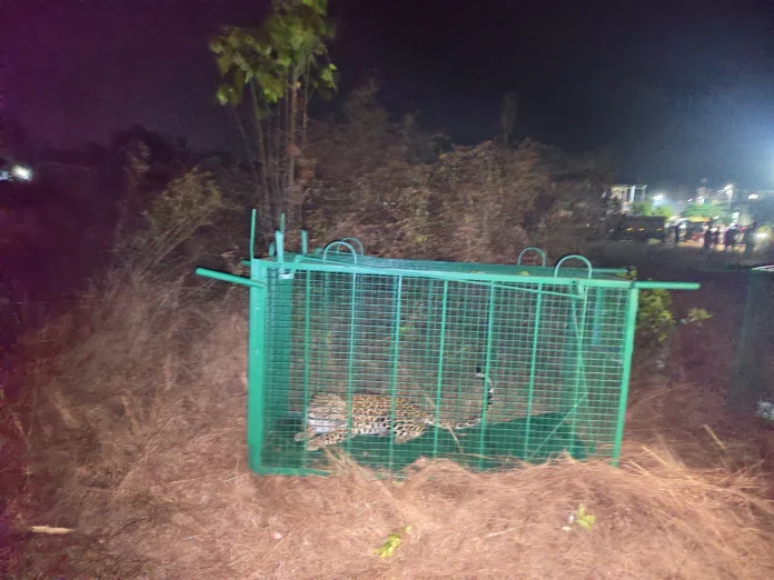 WhatsApp Image 2026-02-22 at 10.29.11 AM