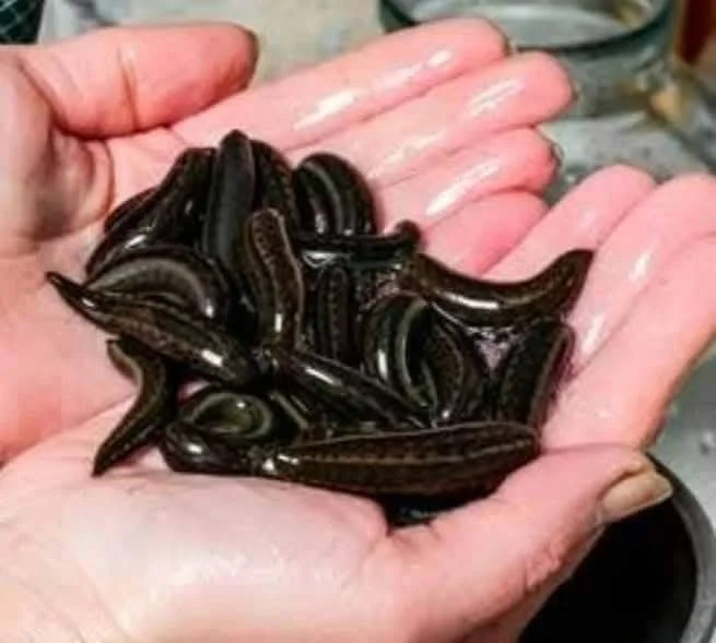 WhatsApp Image 2026-02-26 at 7.22.46 AM