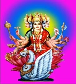 WhatsApp Image 2026-02-27 at 2.05.26 PM