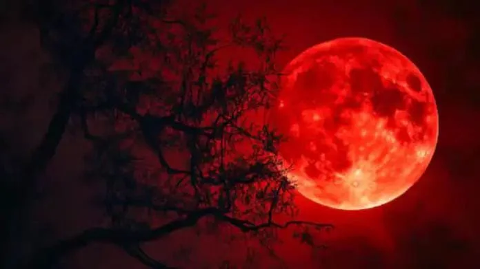 WhatsApp Image 2026-03-03 at 3.40.37 PM