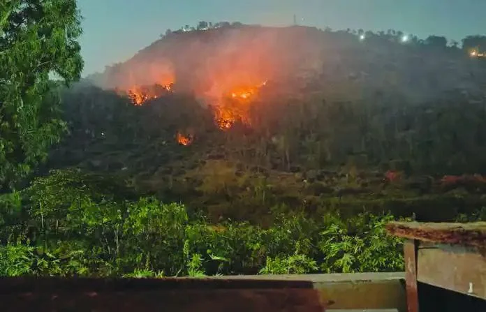 WhatsApp Image 2026-03-04 at 11.55.51 AM