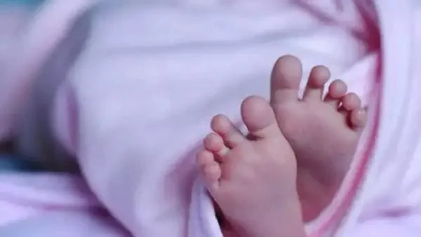 WhatsApp Image 2026-03-04 at 2.53.28 PM