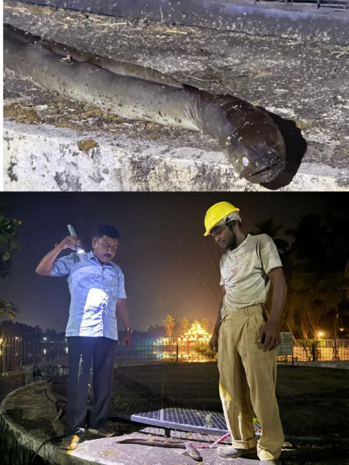 WhatsApp Image 2026-03-14 at 6.49.38 PM