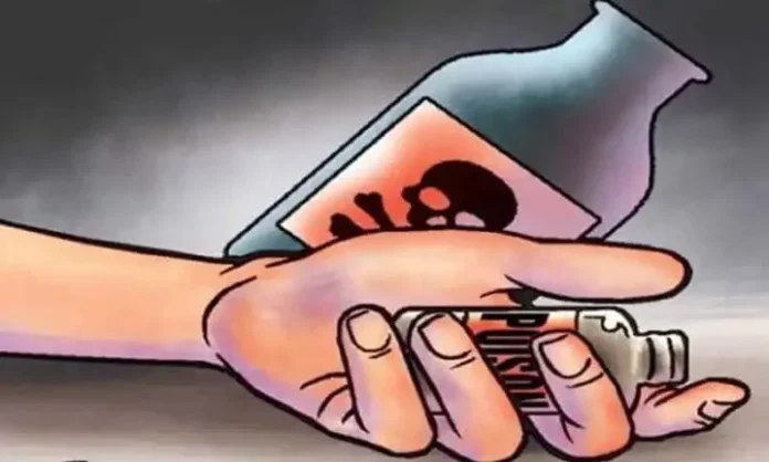 WhatsApp Image 2026-03-30 at 11.13.27 AM