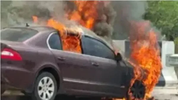 WhatsApp Image 2026-03-31 at 4.13.37 PM