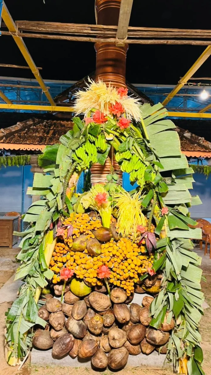 WhatsApp Image 2026-04-04 at 11.44.54 AM