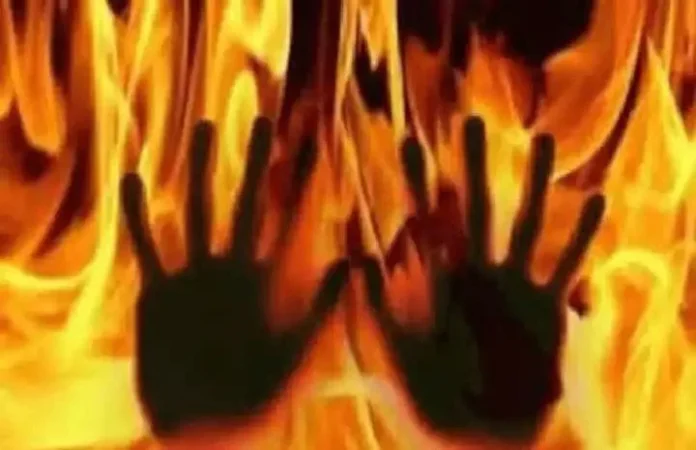 WhatsApp Image 2026-04-06 at 2.17.47 PM