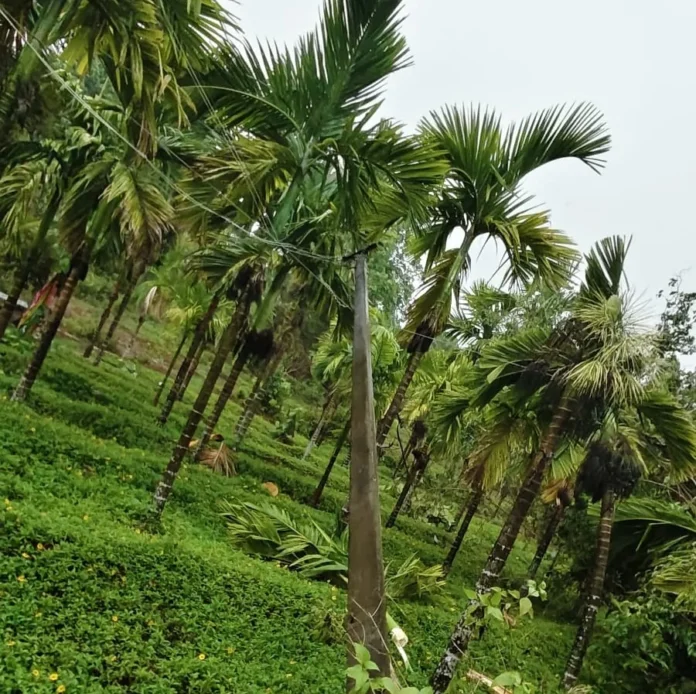 WhatsApp Image 2026-05-15 at 10.09.08 AM