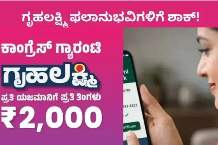 WhatsApp Image 2026-06-10 at 9.20.03 AM