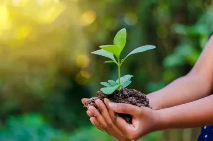 World-Environment-Day-768x509-1