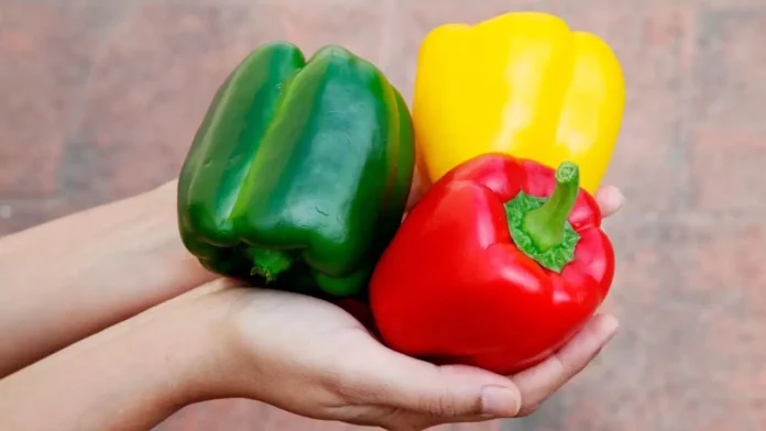 capsicum