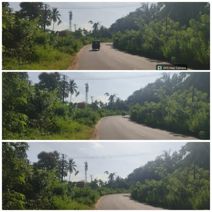 photo-collage.png (2)