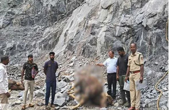ಜ,ಹ್ಗ