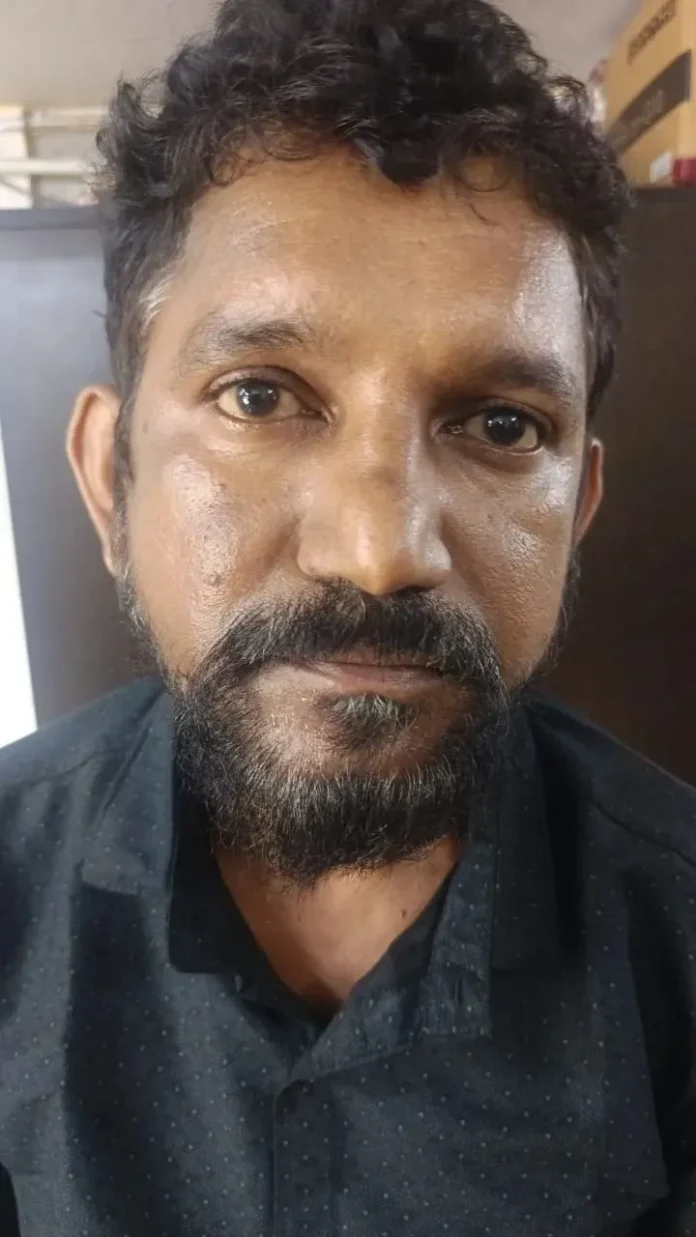 ಇಲು